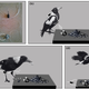 (a) The harness and tracker, (b)-(d) diagrams showing how the harness detaches through contact with a magnet.